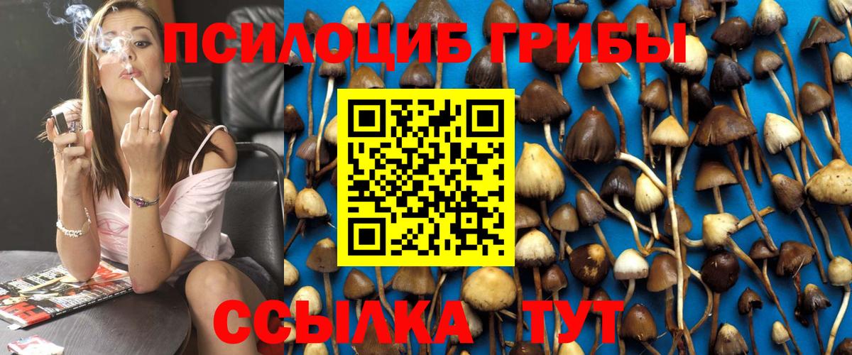 Псилоцибиновые грибы GOLDEN TEACHER Лысьва